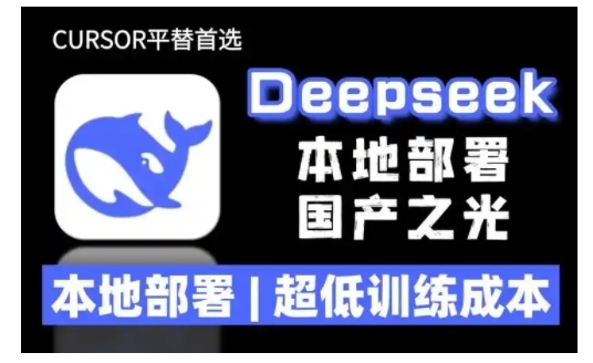 2025年deepseek R1 大型模型当地部署应用(文档 实例教程)本地部署，极低练习成本费-沐颜网创资源