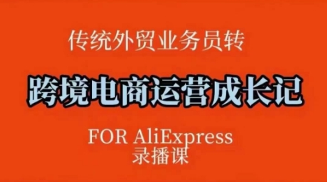 跨境电子商务速卖通运营课，运营方法论 后台管理实际操作，条理清晰-沐颜网创资源