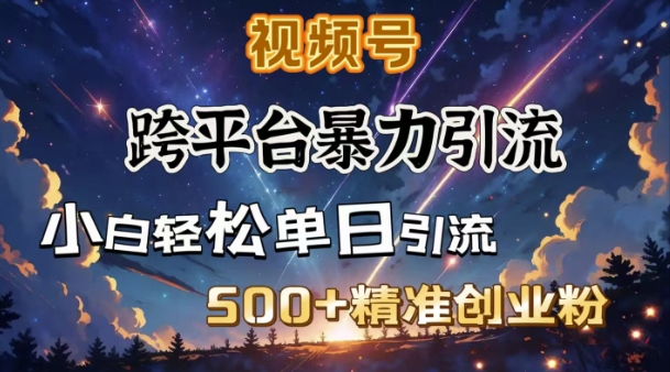 混合开发暴力行为引流方法，公域极致闭环控制，日引500 精确自主创业粉-沐颜网创资源