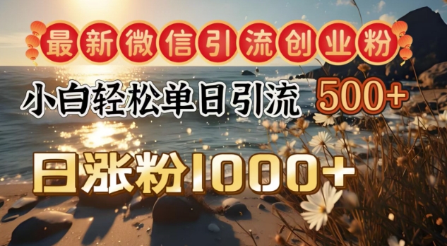 全新微信加粉自主创业粉，小白单日轻轻松松引流方法500 ，日增粉1000-沐颜网创资源