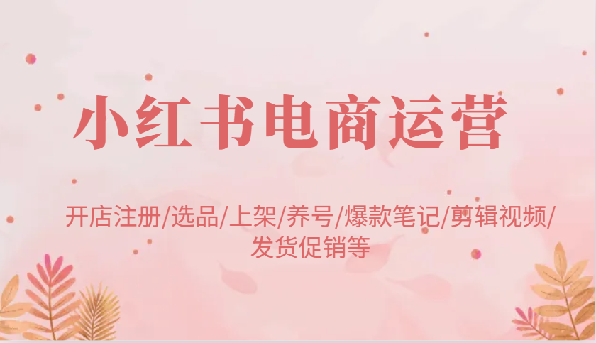 小红书电商经营：开实体店申请注册/选款/发布/起号/爆品手记/视频编辑/安排发货促销等-沐颜网创资源