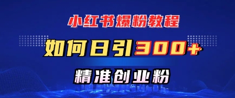 小红书的涨粉实例教程，怎样日引300 自主创业粉，迅速进行精准转现-沐颜网创资源