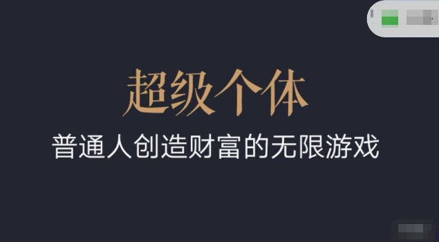 超级个体2024-2025逆风翻盘手册，平常人创造价值的无限恐怖游戏-沐颜网创资源