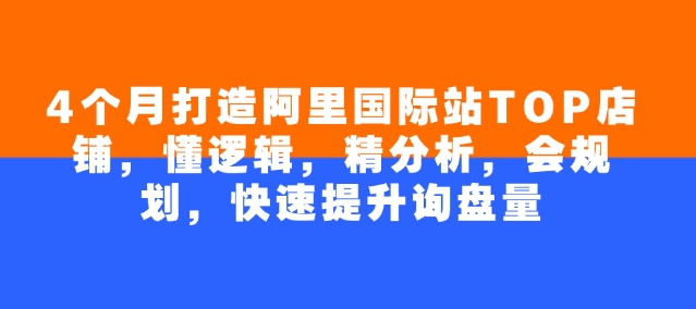 4个月打造出阿里巴巴国际TOP店面，懂逻辑性，精剖析，会整体规划，快速升级外贸询盘量-沐颜网创资源