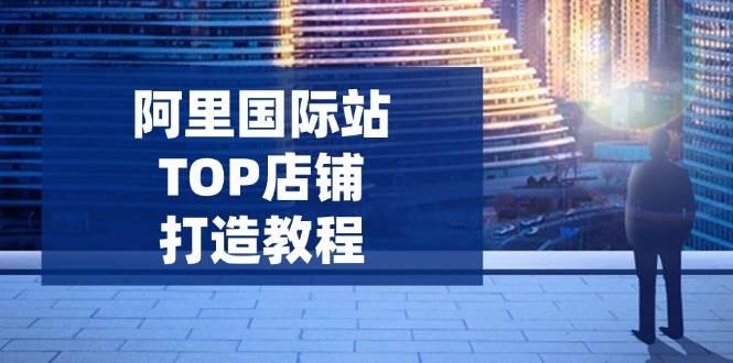 阿里国际站TOP店铺打造教程：涵盖平台到高阶，解决运营难题，提升询盘-沐颜网创资源