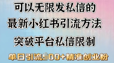 全新“摆烂式”引流方法玩法，小红书私信引流方法，单日引流方法100-沐颜网创资源
