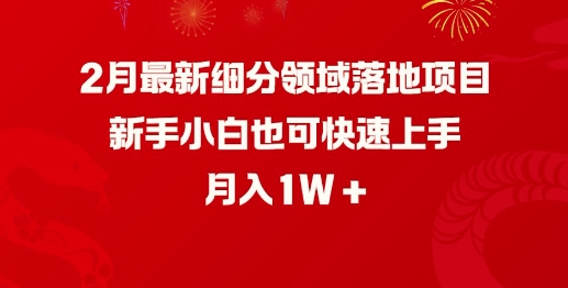 2月全新细分行业落地项目，新手入门也可以快速入门，月收入1W-沐颜网创资源