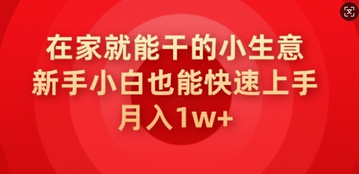 在家也能干的小生意，新手入门也可以快速入门，月入1w-沐颜网创资源