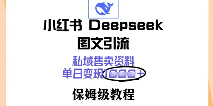 小红书的Deepseek图文并茂引流方法，公域出售材料，单日转现好几张，家庭保姆级实例教程-沐颜网创资源