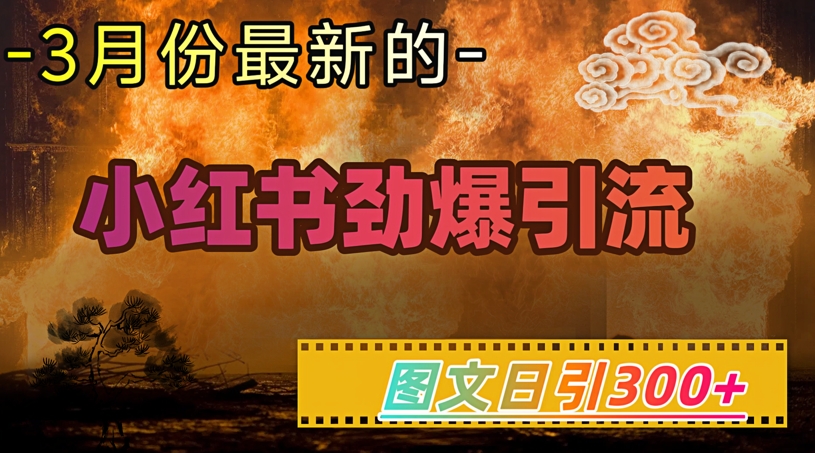 小红书的超劲爆引流方法方式，图文并茂日引300 轻轻松松转现1W-沐颜网创资源