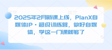 2025年2月新授课发布，PlanX自媒体平台IP·非常夏令营，搞好自媒体平台，学这一门课就行了-沐颜网创资源
