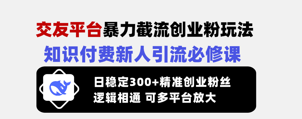 交友网站暴力行为截留自主创业粉游戏玩法，社交电商新手引流方法必修课程，日平稳300 精确…-沐颜网创资源