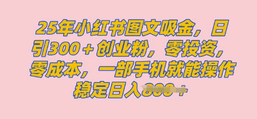 2025年小红书的自主创业粉图文并茂自然实例教程，日 300自主创业粉，单日转现好几张，没脑子实际操作，宝妈妈，新手赶紧冲-沐颜网创资源