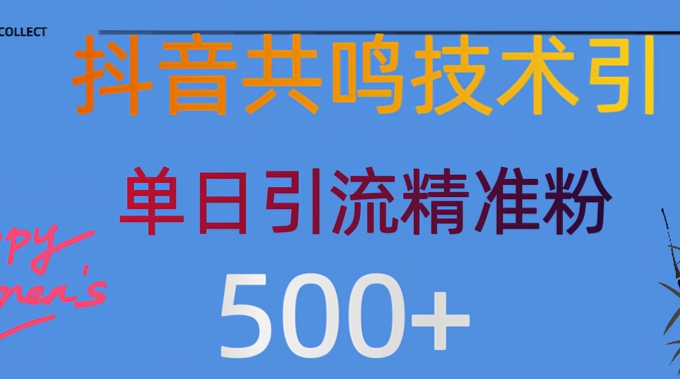 抖音情感引流方法自主创业粉，当然降低成本，日引500-沐颜网创资源