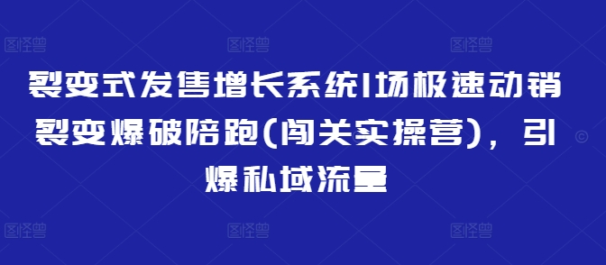 裂变开售提高系统软件1场急速促销裂变式工程爆破陪跑(冲关实际操作营)，点爆私域流量池-沐颜网创资源