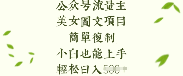 微信流量主长期收益新项目，美女照片简易拷贝，新手也可以入门，轻轻松松日入5张-沐颜网创资源