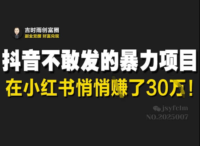 抖音视频害怕发出来的赚钱项目，在小红书悄悄的赚了30W-沐颜网创资源