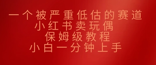 一个被严重低估的赛道，小红书的卖公仔，家庭保姆级实例教程，小白一min入门-沐颜网创资源
