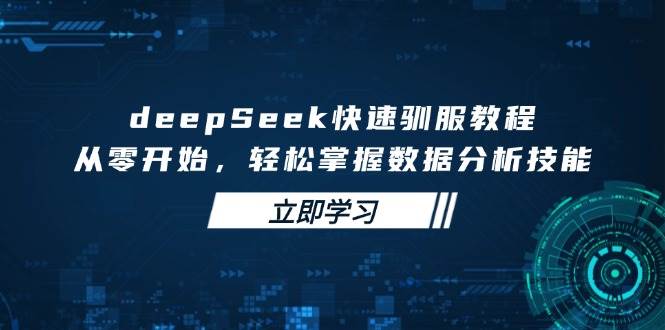 deepSeek迅速收服实例教程，从零开始，快速掌握数据分析技能-沐颜网创资源