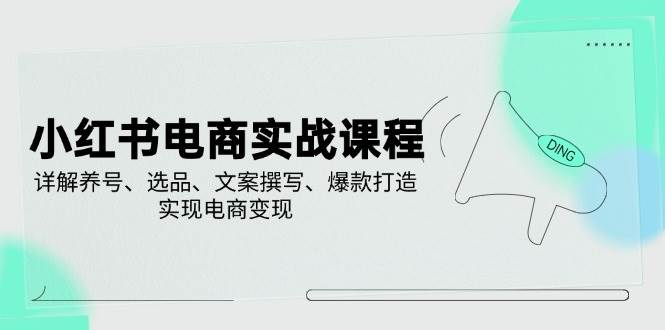 小红书电商实战课程，详解养号、选品、文案撰写、爆款打造，实现电商变现-沐颜网创资源
