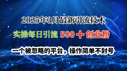 2025年3月全新引流技术，实际操作每日引流方法500 自主创业粉，一个被忽视服务平台，使用方便防封号-沐颜网创资源