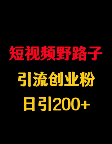 小视频歪门邪道引流方法自主创业粉，日引200-沐颜网创资源