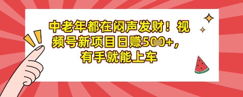 中老年人都是在闷声发财，微信视频号最新项目日入好几张，两双手就可进入车内-沐颜网创资源