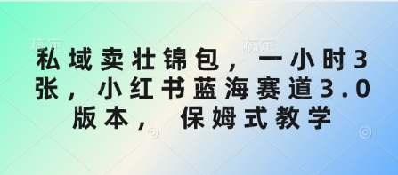 公域卖壮锦包，一小时3张，小红书的瀚海跑道3.0版本号， 跟踪服务课堂教学-沐颜网创资源