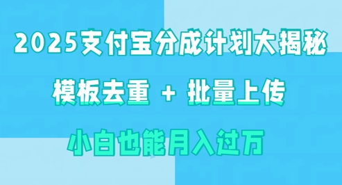2025支付宝钱包分为方案大曝光 模版去重复 批量采集 新手也可以月入了w-沐颜网创资源
