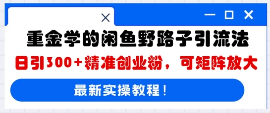 巨资学得闲鱼平台歪门邪道引流法，日引300 精确自主创业粉，可引流矩阵变大-沐颜网创资源