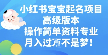 小红书的宝宝取名新项目高端版本号，使用方便，材料技术专业，月入了W-沐颜网创资源
