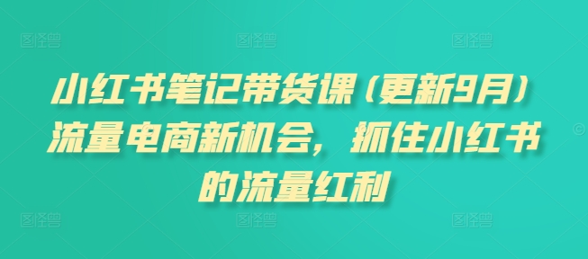 小红书笔记带货课(更新25年3月)流量电商新机会，抓住小红书的流量红利-沐颜网创资源