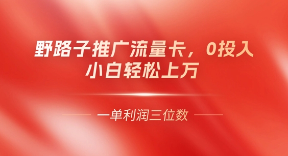0门槛推广流量卡，一单收益上百，0投入，小白月入过W-沐颜网创资源