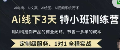 AI实战培训第20-21期线下推广，0基本家庭保姆级实例教程，3月全新梳理，营销获客、降低成本、打造出超级个体-沐颜网创资源