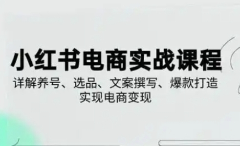 小红书从0-1实操课(2023-2025)，详解养号、选品、文案撰写、爆款打造实现电商变现-沐颜网创资源