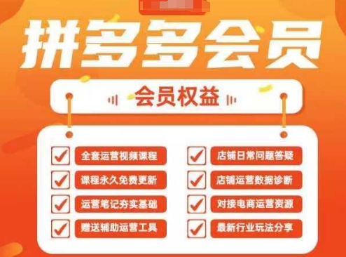 2025拼多多运营实战演练课，40节全过程课堂教学，遮盖拼多多运营全链路营销-沐颜网创资源