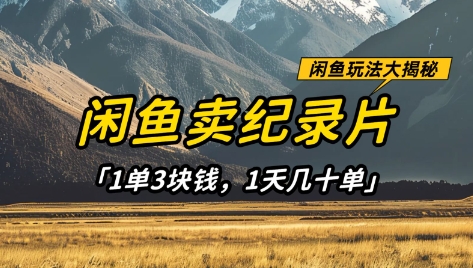 淘宝闲鱼纪实片1单3元钱，1天几十单，新项目平稳有希望-沐颜网创资源