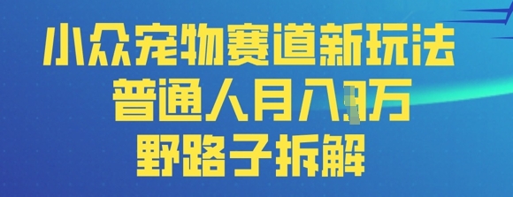 小众宠物赛道新玩法，普通人月入过1W的野路子拆解-沐颜网创资源