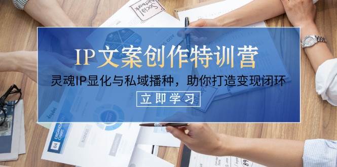 IP文案创作夏令营，生命IP证悟与公域栽种，帮助你打造出转现闭环控制-沐颜网创资源