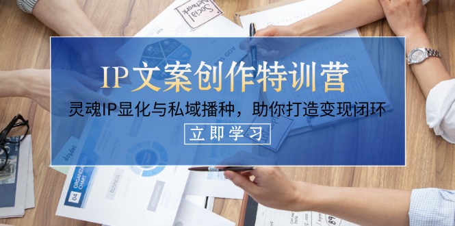 IP文案创作夏令营，生命IP证悟与公域栽种，帮助你打造出转现闭环控制-沐颜网创资源