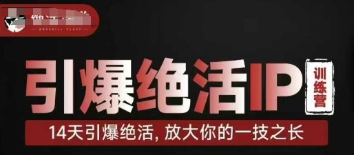 点爆绝技IP夏令营，14天点爆绝技，变大你一技之长-沐颜网创资源