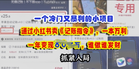 一个小众要求，根据小红书的卖《记账指令》，一本万利，谁做谁发，赶紧进入-沐颜网创资源
