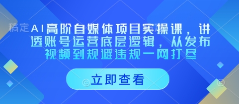 AI高阶自媒体项目实操课，讲透账号运营底层逻辑，从发布视频到规避违规一网打尽-沐颜网创资源