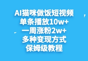 AI猫猫煮饭小视频，一条播放视频10w ，一周升分2w ，多种多样变现模式，家庭保姆级实例教程-沐颜网创资源