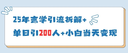 25年国学经典引流方法拆卸 单日引200人 新手当天就能转现-沐颜网创资源