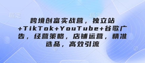 跨境电商财富实战营，自建站 TikTok YouTube 谷歌广告，经营模式，店铺管理，精确选款，高效率引流方法-沐颜网创资源