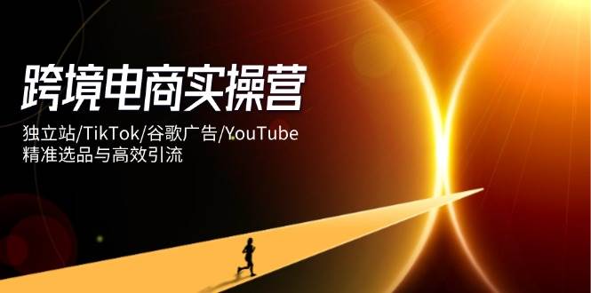 跨境电子商务实际操作营：自建站/TikTok/谷歌广告/YouTube，精确选款与高效引流方法-沐颜网创资源