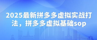 2025全新拼多多平台虚似实战演练玩法，拼多多平台虚似基本sop-沐颜网创资源