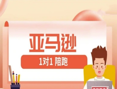 亚马逊平台1对1陪跑课(FBA/FBM精铺)跨境电商亚马逊平台实例教程-沐颜网创资源