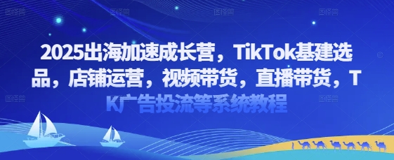 2025出航加速成长营，TikTok基本建设选款，店铺管理，短视频带货，直播卖货，TK广告宣传投流等系统教程-沐颜网创资源